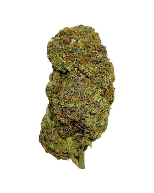 mac and fritter cannabis strain